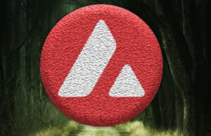 Avalanche (AVAX) bước vào năm 2024 sau một năm 2023 đáng chú ý – Liệu nó có đạt mức cao mới không?