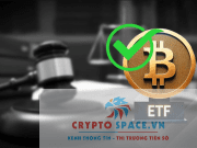 Tại sao Bitcoin ETF giao ngay lại quan trọng đối với không gian crypto?