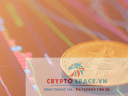 Giá Coin hôm nay 12/01: Bitcoin đạt đỉnh $ 49.000 trước khi bị bán tháo, altcoin tăng mạnh khi chứng khoán Mỹ đi ngang