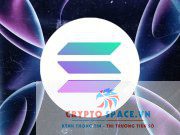 Tỷ lệ giữ chân nhà phát triển trong hệ sinh thái Solana tăng từ 31% lên 50% vào năm 2023