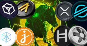 Nhà phân tích il Capo thông báo ông đã mua một altcoin mới